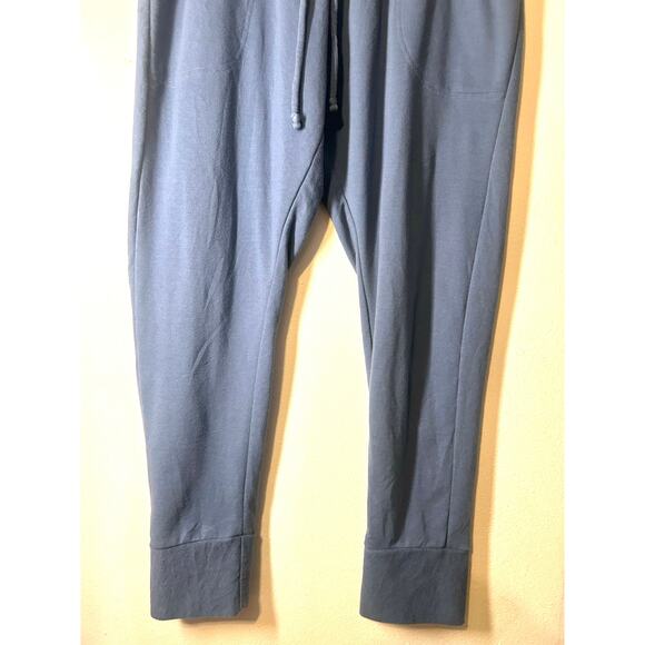 Free people FP Movement Sunny Joggers-Size XL Activewear-Sweat Pants Blue-Silver - Picture 5 of 8